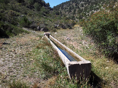 Imagen de MANZANO