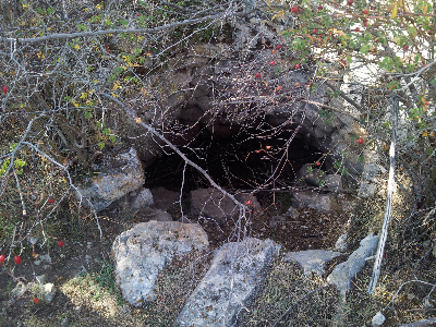 Imagen de NAZARILLOS O LAZARILLOS