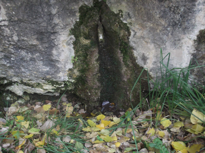 Imagen de MOLINO