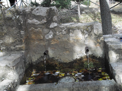 Imagen de BALSA (FUENTE)
