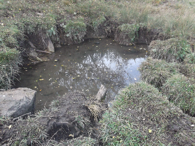 Imagen de FUENTARRÓN DE LA MUELA