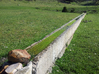 Imagen de NAVAZO