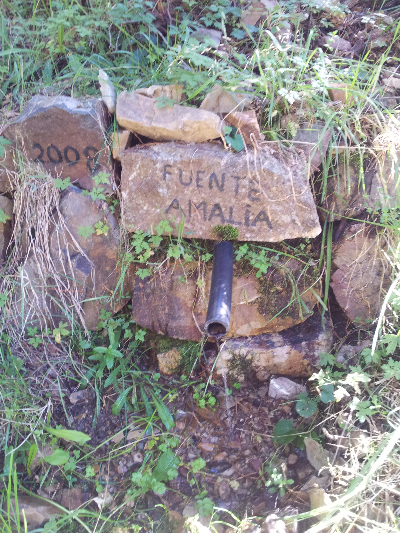 Imagen de AMALIA
