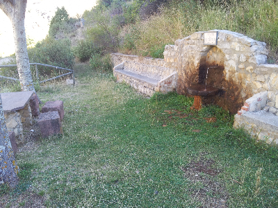 Imagen de AMARGA O DEL HIERRO