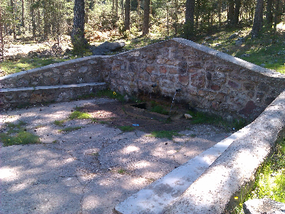 Imagen de VIZALAPEÑA