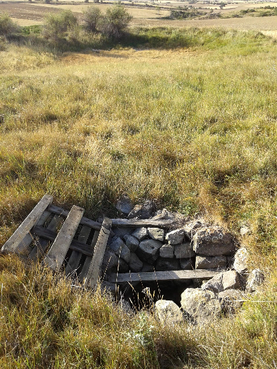 Imagen de POZORICES