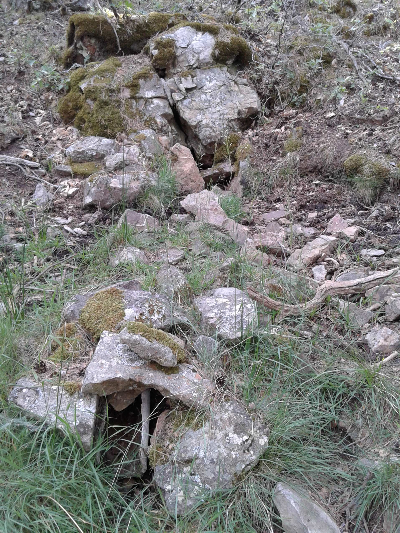 Imagen BOGONAL