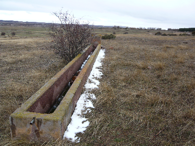 Imagen de MOSEN JUAN