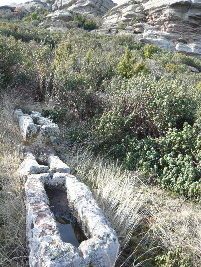 Imagen de CASTILLO