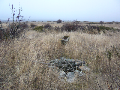 Imagen de MEDIANILES