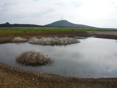 Imagen de BALSA LOMERÓN O ALBERGUE