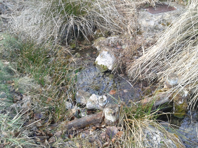 Imagen de MANANTIAL DE LAS BALSAS