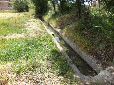 Imagen de BARREGUILLA