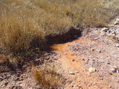 Imagen de SALINAS I