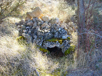 Imagen de ROQUE