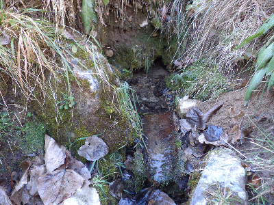 Imagen de JOAQUINILLA