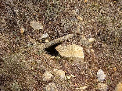Imagen de TÍO TORTAS
