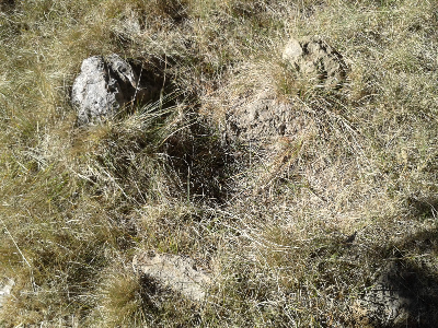 Imagen de HOYA DE LA TORRE