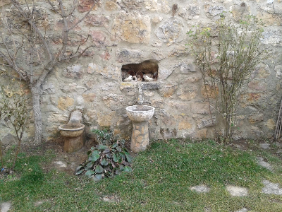 Imagen de CHORRO