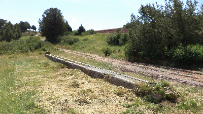 Imagen SAPO O DEL CASTELLAR