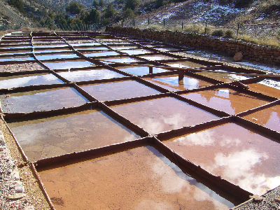 Imagen de MANANTIALES DE LAS SALINAS