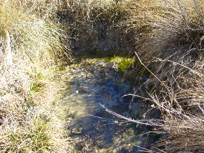 Imagen de CAÑO GABRIEL