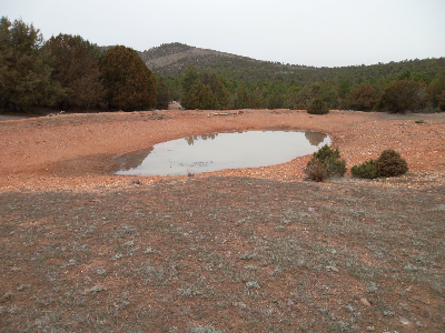 Imagen de BALSA DEL ALDA