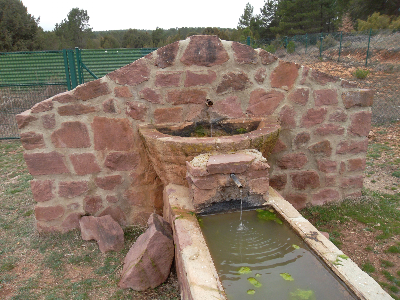 Imagen de NAVA