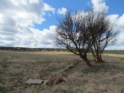 Imagen de BALSA ROYO