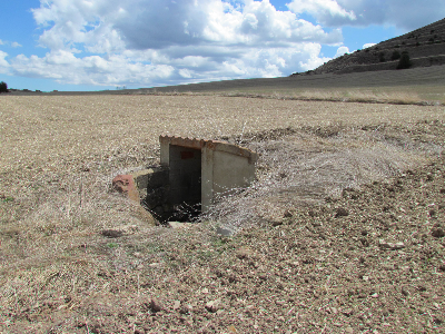 Imagen de COLMENILLA
