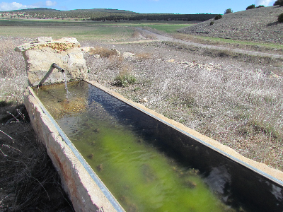 Imagen de GAMELLONES DE LA HOCECILLA