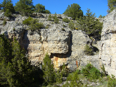 Imagen de GOTERA