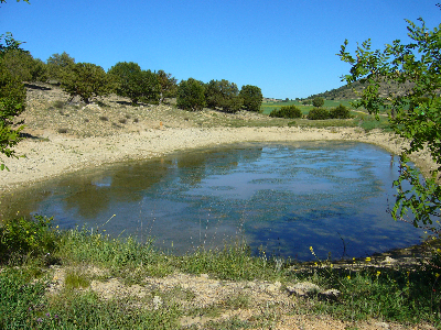 Imagen de BALSA DE LA VEGA