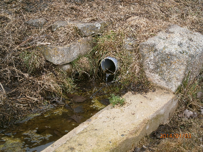 Imagen de PUENTE PIEDRA