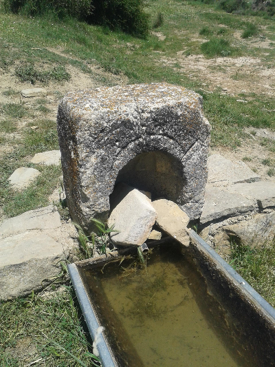 Imagen de DEHESA
