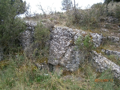 Imagen de MIGUEL ALCALDE