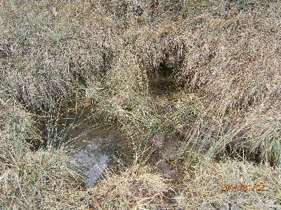 Imagen FUENTE CAÑADA VELLIDA