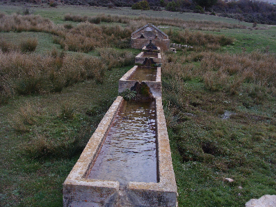 Imagen de DE ESTACAS