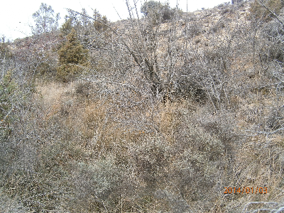 Imagen de FUENTE SAN QUÍLEZ
