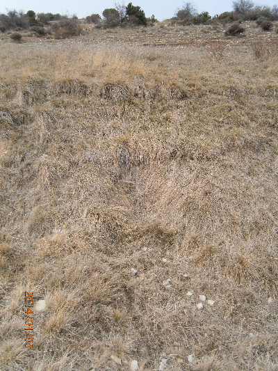 Imagen de VIRGEN DEL PILAR