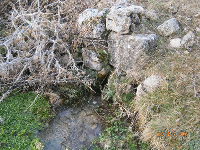 Imagen de TÍO ANSELMO