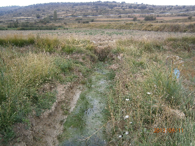Imagen CAÑO DE LA BOTICARIA