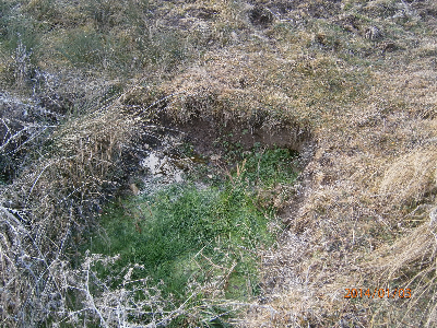 Imagen de CAÑADILLAS
