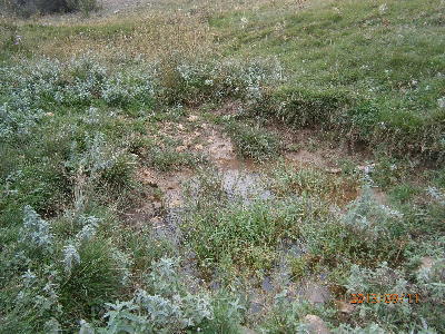 Imagen de VALLEJO DE LA LOMA