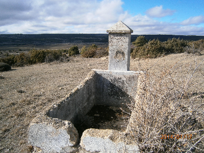 Imagen de MORA