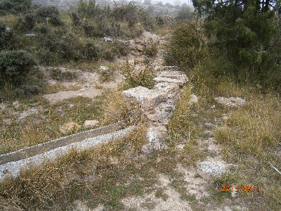 Imagen de PIÑUELA