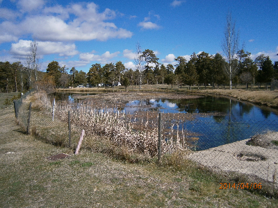 Imagen de BALSA DEL NACIMIENTO