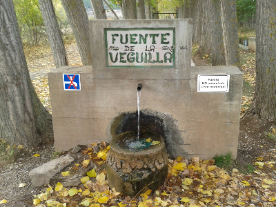 Imagen de VEGUILLA