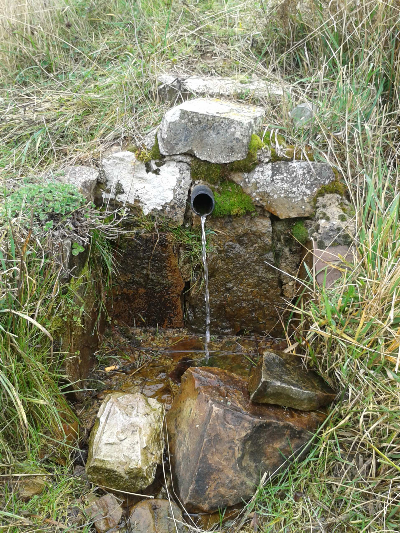 Imagen de PALILLO