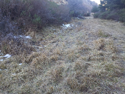 Imagen de GARCERRUBIOS